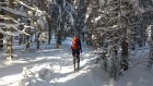 Лыжников приглашают в виртуальный тур по Пензенской области