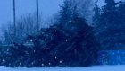 В Сердобске сильным ветром снесло новогоднюю елку в центре