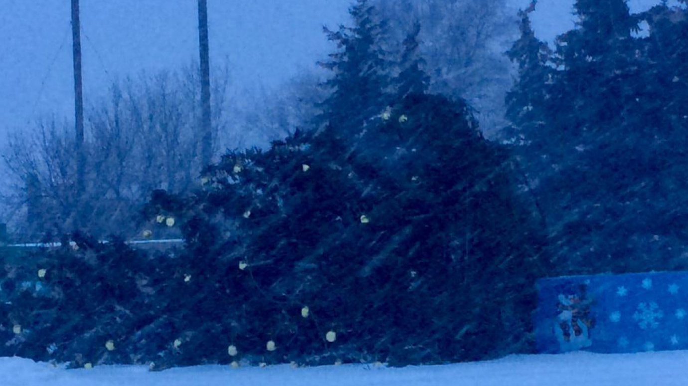 В Сердобске сильным ветром снесло новогоднюю елку в центре