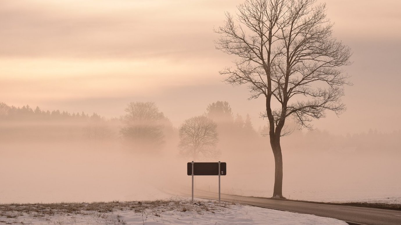 В Пензенской области ожидаются сильный туман и гололедица