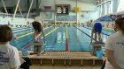 В Пензе выберут лучших пловцов региона среди юношей и девушек