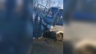 Под Кузнецком столкнулись AUDI А6, грузовик и автобус
