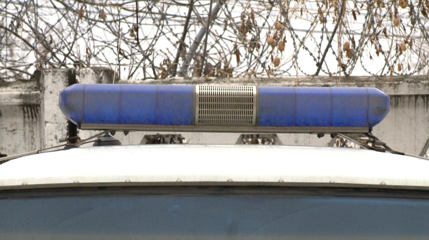 В полиции прокомментировали случай с учебной гранатой на улице Лазо