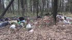 Жительницу области возмутил мусор на кладбище в Кузнецком районе