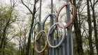 25 мая Олимпийскую аллею закроют для акарицидной обработки