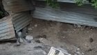 На контейнерной площадке на улице Кижеватова хозяйничают крысы