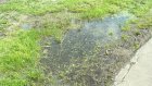 Пензенец пожаловался на запах канализации у Безымянного ручья