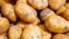 Двум молодым кузнечанам грозит тюрьма за кражу картошки