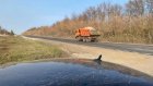 Активист из Нижнего Ломова показал, куда идет незаконно добытый песок