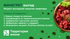 : penzainform.ru