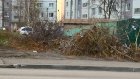 Жители улицы Лядова пожаловались на кучу возле контейнеров