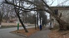 На улице Лермонтова над тротуаром опасно наклонилось дерево