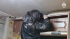 В Пензе опубликовано видео из квартиры, где погибли отец и дочь