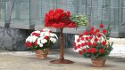 Пензенцы в День Героев Отечества почтили память погибших