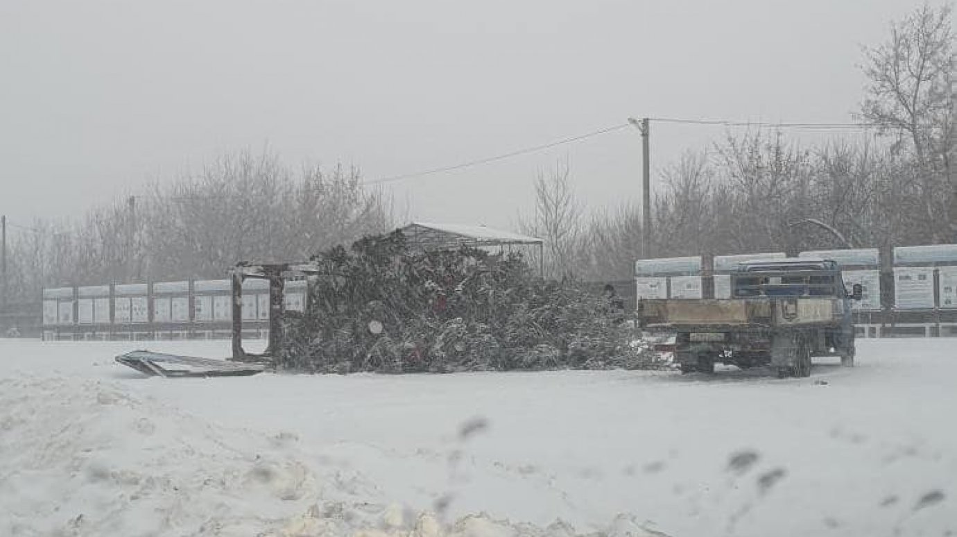 В Пензенской области новогодняя елка не устояла в непогоду