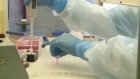 Минздрав признал омикрон-штамм самым заразным вариантом коронавируса