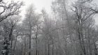Снегопад стал причиной многочисленных ДТП в Пензе и области