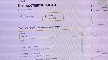 Пензячка потеряла более 20 тысяч рублей на сайте-двойнике