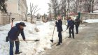 В Пензе разворошили снег и сорвали объявления со столбов