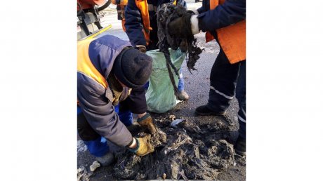 На ул. Ставского безответственные пензенцы засорили канализацию