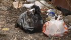 Жители ул. Кулибина не могут избавиться от привычки мусорить