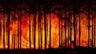 В Пензенской области назвали сроки пожароопасного сезона