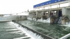 В Пензенской области большая вода - под контролем
