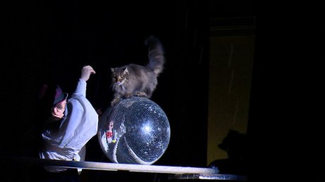 «Театр кошек Куклачева» подарил пензенцам незабываемый спектакль
