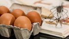 Названо число съедаемых россиянами ежегодно яиц