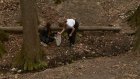Пензенские школьники ежегодно расчищают родник в Арбекове