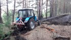 В Пензенской области зафиксированы первые лесные пожары