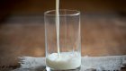 Диетолог назвала четыре веские причины отказаться от молока