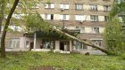 На Бекешской рухнул тополь, вызывавший жалобы жителей