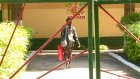 В Пензе прокуратура проверила детский сад для аллергиков