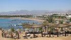 Раскрыты подробности нападения акулы на туристку на популярном курорте Египта