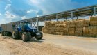 «Русмолко» заготовит 450 000 тонн кормов в 2022 году