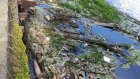 В Бессоновском районе в Суре образовались мусорные острова