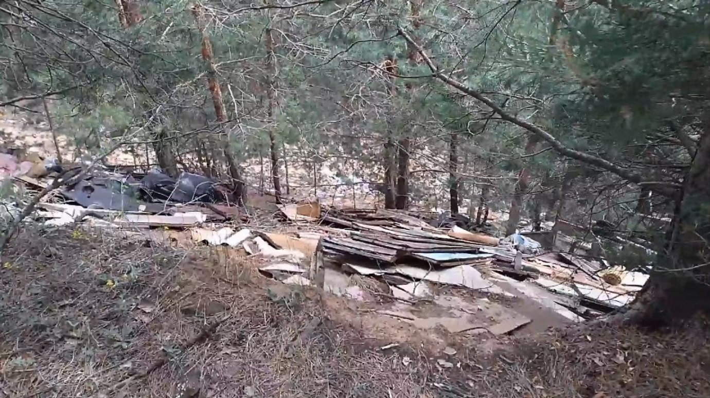 Кузнечанин ужаснулся загаженному лесу своего детства