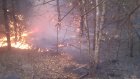 В Пензенской области стало в четыре раза меньше лесных пожаров