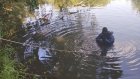 В Пензенской области утонули еще два человека