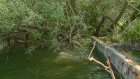 Из-за спуска воды из пруда в Арбекове пострадали дачники