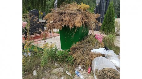 Могилу матери пензячки превратили в место для сбора мусора