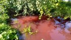 Река в Пензенской области окрасилась в багровый цвет