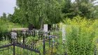 Житель Пензенской области признался в краже с кладбища