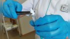 Пензенцам предлагают впрыснуть вакцину от COVID-19 через нос