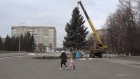 В Кузнецке будут подыскивать главную новогоднюю елку города
