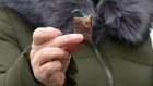 В Пензе средняя цена 1 кг шоколадных конфет достигла 684 рублей