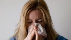 В Минздраве заявили об активном распространении свиного гриппа в России