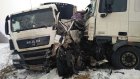 В Пензенской области за утро в авариях погибли два человека