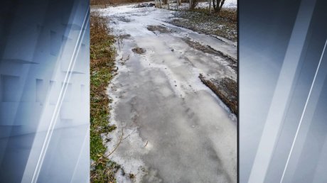 В Бековском районе случился ледяной апокалипсис